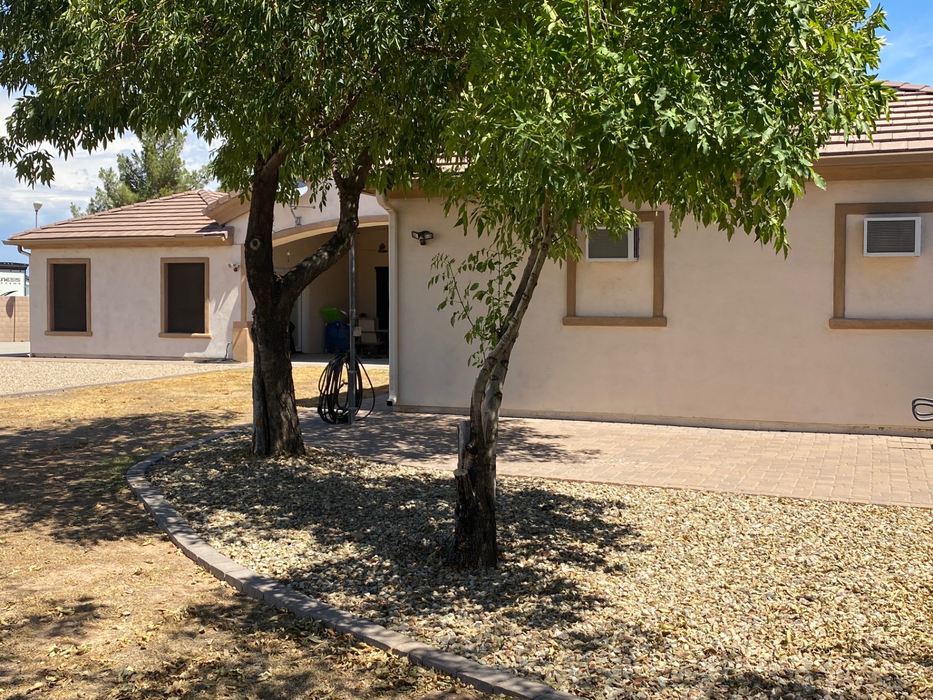 Aurora Estate — front yard before with bare ash trees and dead grass