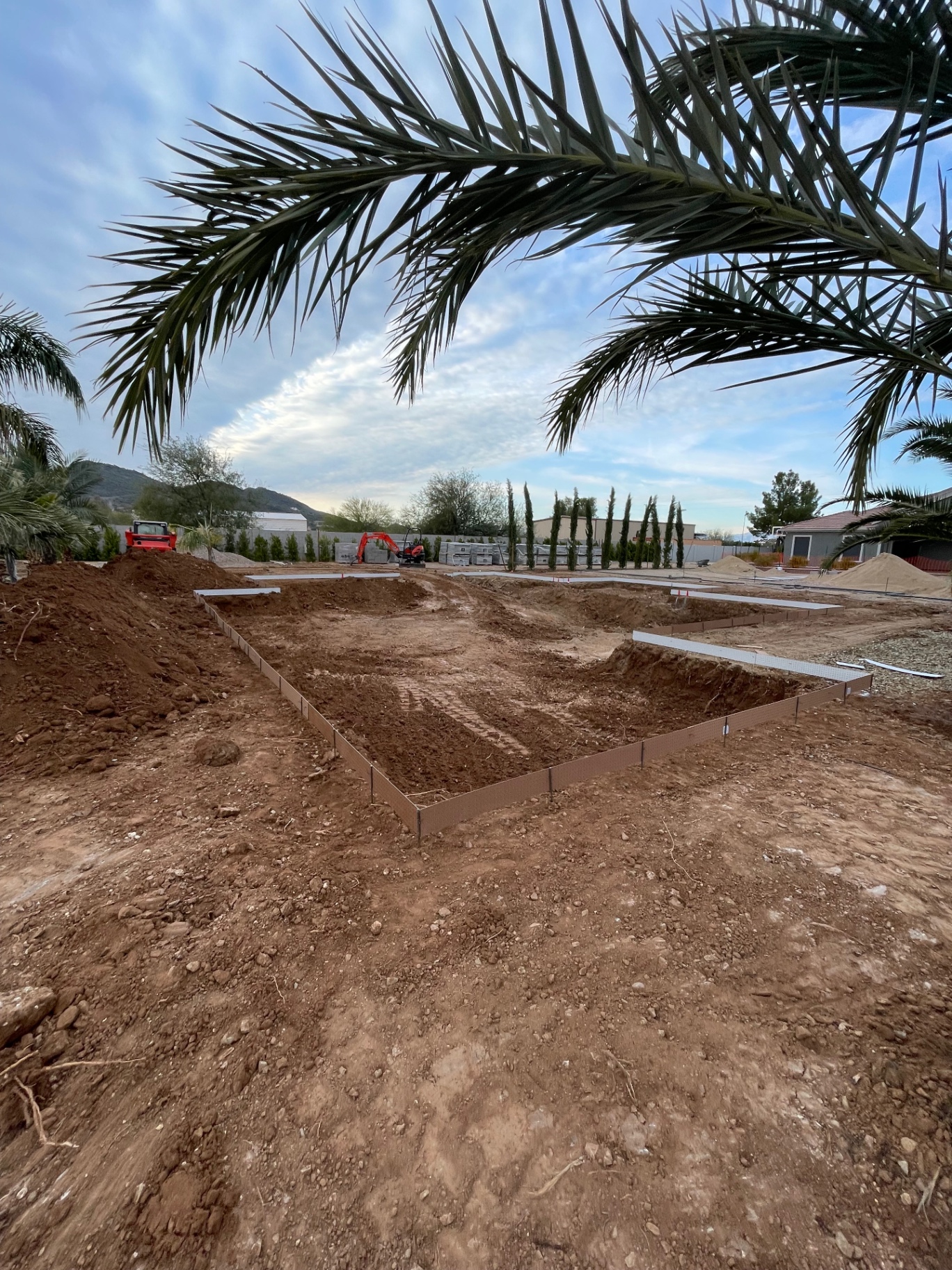 Aurora Estate — excavation phase framed by palms showing the pool and hardscape geometry cut into grade