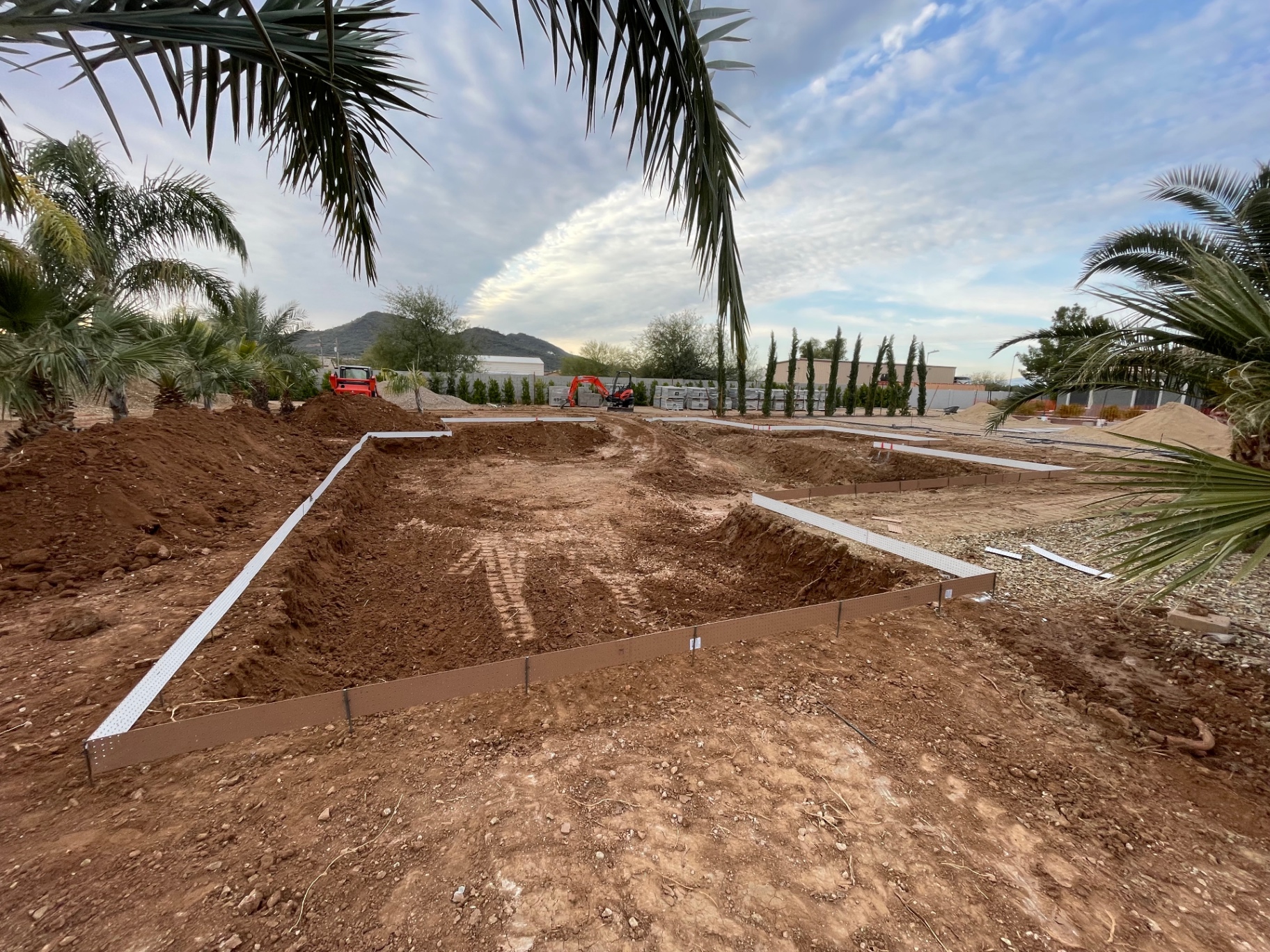 Aurora Estate — graded pool basin and hardscape edges with palms and cypress establishing the mature landscape frame